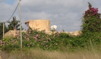 Finca Mallorca Llucmajor